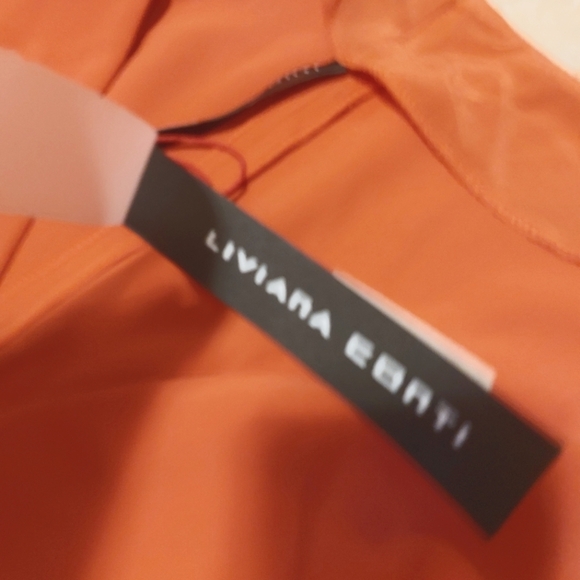 Liviana conti dress bnwt size 42 - Picture 6 of 7